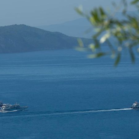 Villa Eione-Thaleia Sivota  Luaran gambar
